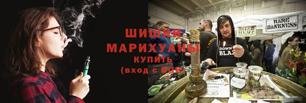 молекула духа Арсеньев