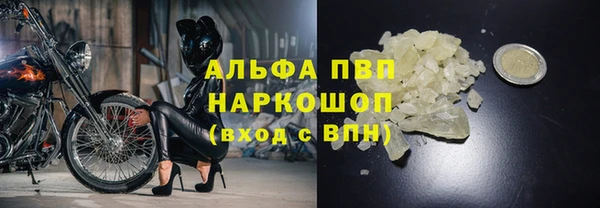 молекула духа Арсеньев