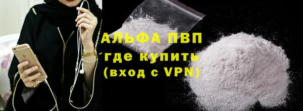 стаф Бердск